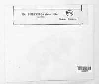Image Associated With the Occurence